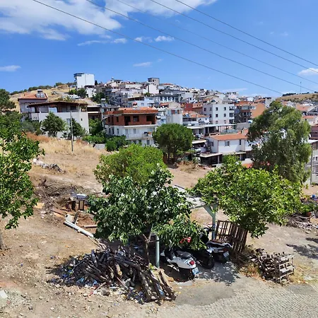 Tunc Ayvalı